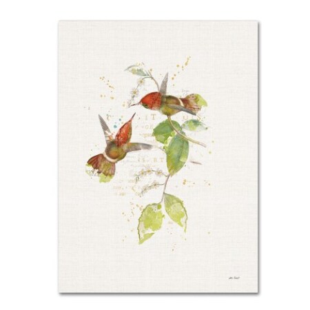 Trademark Fine Art Katie Pertiet 'Colorful Hummingbirds II' Canvas Art, 14x19 WAP01417-C1419GG